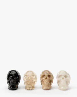 Assorted Resin Skulls (Boxed Set Of 4) -Bloomingville Store AssortedResinSkulls BoxedSetof4 MSNL0015 MLT S4 D1 T