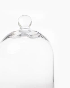 Glass Cloche -Bloomingville Store GlassCloche MDCR1876 GLS OS D1