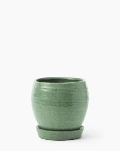 Jaycee Green Pot 9 Jaycee Green Pot -Bloomingville Store JayceeGreenPot MDCR2834 GRN L MAIN T