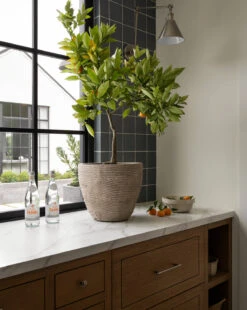 Textured Concrete Pot -Bloomingville Store Mishurda Batch4 8