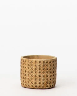 Natural Cement Planter (Set Of 2) -Bloomingville Store NaturalCementPlanter Setof2 3