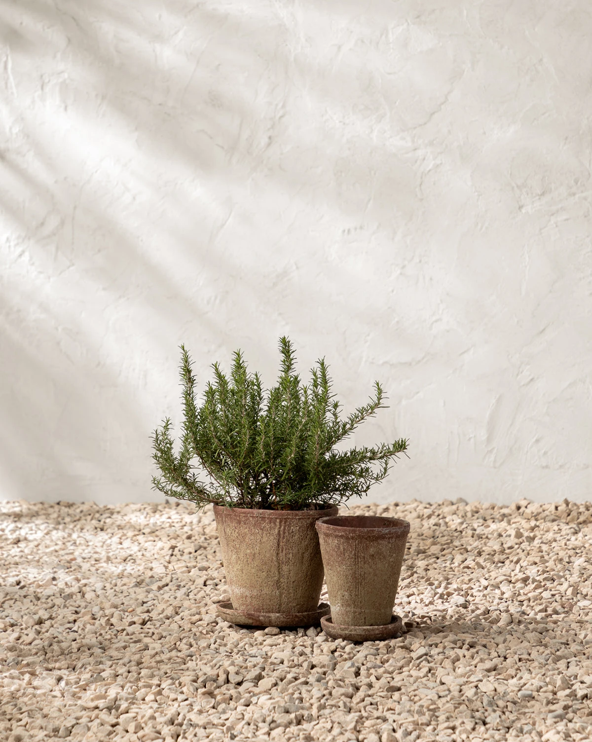 Oksana Distressed Cement Planter 3 Oksana Distressed Cement Planter