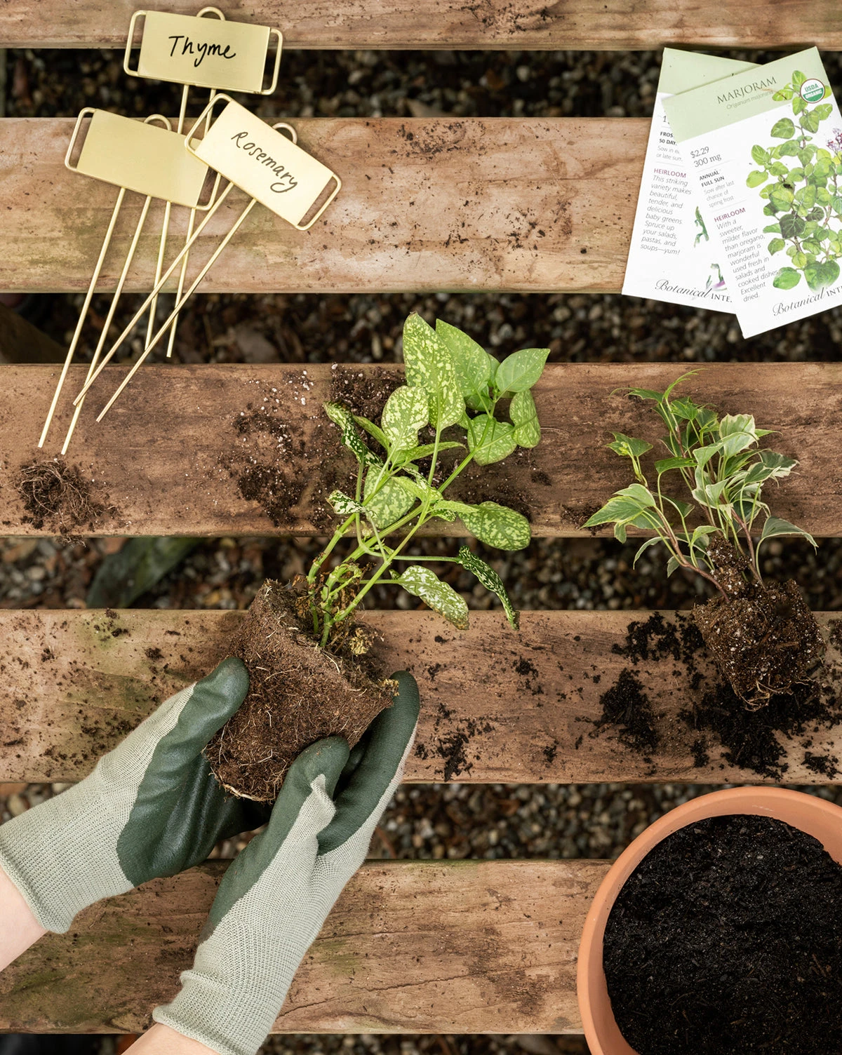 Brass Garden Tags (Set Of 4) 4 Brass Garden Tags (Set Of 4) - Image 2