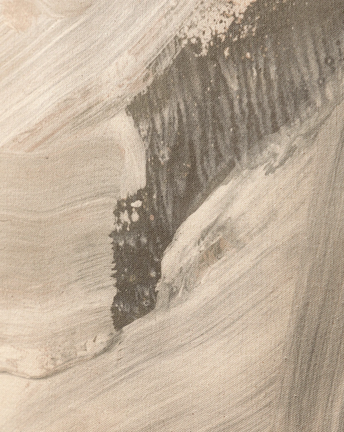 Swath 2 Sepia 6 Swath 2 Sepia - Image 4