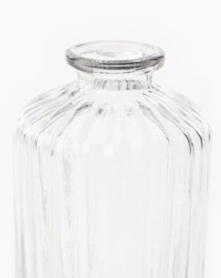 Verlice Glass Cylinder Vase -Bloomingville Store VerliceGlassCylinderVase MDCR2824 GLS OS D1 T