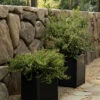 Clariance Planter 1 Clariance Planter -Bloomingville Store outdoor templated 71