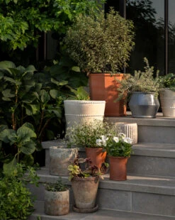 Oksana Distressed Cement Planter 10 Oksana Distressed Cement Planter -Bloomingville Store studiomcgee 20241023 Outdoor 0665