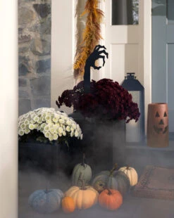 Creamy White Faux Pumpkin -Bloomingville Store studiomcgee Fall 20250522 1170 GIF T b68b976e c1d8 49c5 aa8a 49e94b6bdb9e