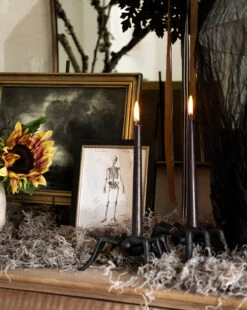 Storm On The Lake -Bloomingville Store studiomcgee McGeeHalloween 20250701 007 T 78bcdda6 607b 4731 a518 e796fb76b363